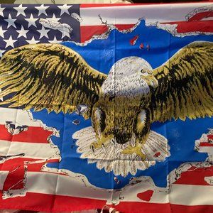 AMERICAN FLAG WITH AN EAGLE BURSTING THRU IT NEW